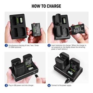 NEEWER LP-E6NH Replacement Battery and USB Charger Set, 3-Pack 2250mAh Replacement for LP-E6NH Battery & Triple Slot USB Charger Compatible with Canon EOS R7 R5 R6 R6 II R, 5DIV, 6DII, 7DII, 80D, 90D