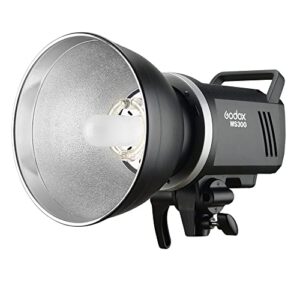 Godox MS300 Studio Strobe 300Ws 110V GN58 5600K Bowens Mount Monolight, Built-in Godox 2.4G Wireless System, 150W Modeling Lamp, Outstanding Output Stability, Anti-Preflash, 1/32 to 1/1 Steps Output