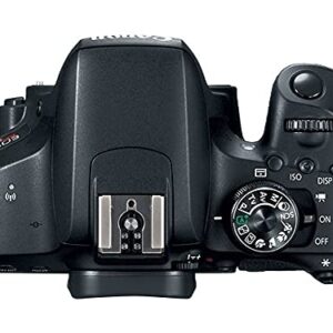 Canon EOS 800D (Rebel T7i) DSLR Camera Bundle with 18-55mm STM Lens + 2pc Sandisk 32GB Memory Cards + Accessory Kit