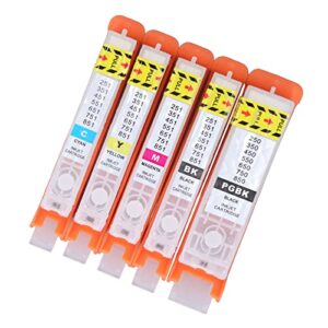 Walfront 5Pcs Ink Cartridge for PIXMA Ink Cartridge Replacement IP7250 MG6350 MG5450 MX925 MX725 MG6450 MG5550 IX6850 Printers