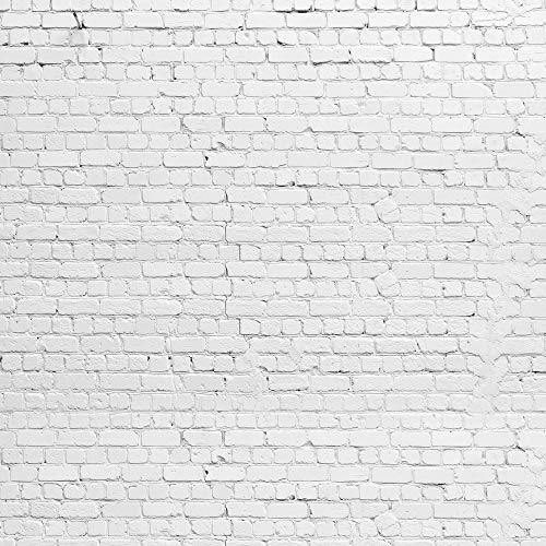 HUAYI 8x8ft Large White Grey Brick Wall Photography Backdrop Party Decoration Vinyl Video Models Background D-2504