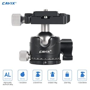 Low Profile Ball Head, CAVIX H-29S Camera Tripod Head Metal Ball Head with Arca Swiss Quick Release Plate Bubble Level Load Capacity 22 Lbs/10kg…