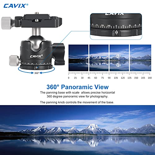 Low Profile Ball Head, CAVIX H-29S Camera Tripod Head Metal Ball Head with Arca Swiss Quick Release Plate Bubble Level Load Capacity 22 Lbs/10kg…