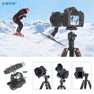 Low Profile Ball Head, CAVIX H-29S Camera Tripod Head Metal Ball Head with Arca Swiss Quick Release Plate Bubble Level Load Capacity 22 Lbs/10kg…