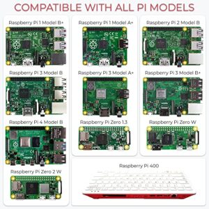 STEADYGAMER - 64GB Raspberry Pi Preloaded (RASPBIAN/Raspberry Pi OS) SD Card | 400, 4, 3B+, 3A+, 3B, 2, Zero Compatible with All Pi Models (64GB)