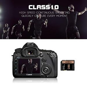 512GB SD Card Memory Card High Speed Security Digital Card Class 10 for Camera,Vlogger&Videographer and SD Card Devices(512GB)