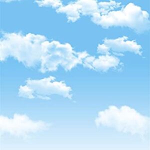 AOFOTO 3x5ft Blue Sky Backdrops White Clouds Photo Shoot Background Photography Studio Props Digital Video Drop Baby Infant Kid Newborn Toddler Artistic Portrait