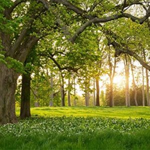 Leowefowa 7X5FT Spring Backdrop Rural Forest Trees Backdrops for Photography Blooming Flowers Green Grassland Nature Vinyl Photo Background Kids Adults Outdoor Travel Portraits Studio Props