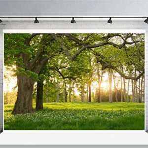 Leowefowa 7X5FT Spring Backdrop Rural Forest Trees Backdrops for Photography Blooming Flowers Green Grassland Nature Vinyl Photo Background Kids Adults Outdoor Travel Portraits Studio Props