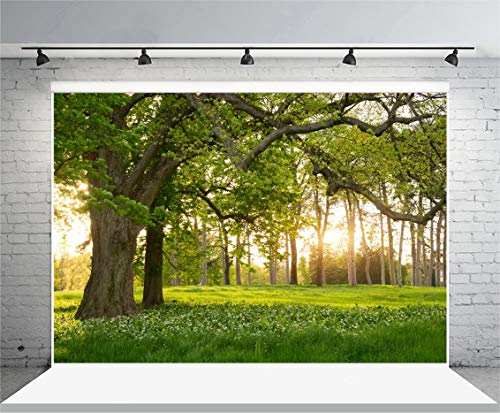 Leowefowa 7X5FT Spring Backdrop Rural Forest Trees Backdrops for Photography Blooming Flowers Green Grassland Nature Vinyl Photo Background Kids Adults Outdoor Travel Portraits Studio Props