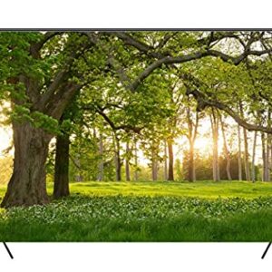 Leowefowa 7X5FT Spring Backdrop Rural Forest Trees Backdrops for Photography Blooming Flowers Green Grassland Nature Vinyl Photo Background Kids Adults Outdoor Travel Portraits Studio Props