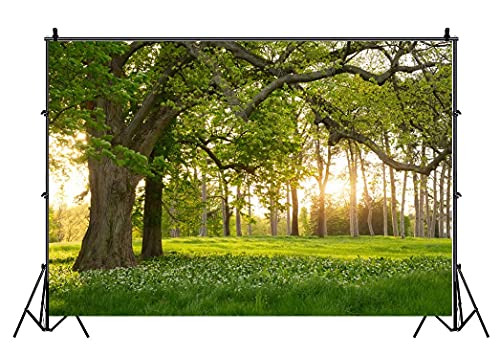 Leowefowa 7X5FT Spring Backdrop Rural Forest Trees Backdrops for Photography Blooming Flowers Green Grassland Nature Vinyl Photo Background Kids Adults Outdoor Travel Portraits Studio Props