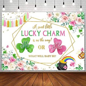 aibiin 7x5ft lucky charm gender reveal backdrop st. patrick’s day baby shower photography background he or she pink or green shamrock clover gold coin party decor banner supplies photo shoot props