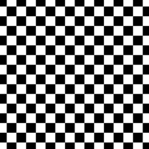 LYLYCTY 7x5ft Checkers Backdrop Black and White Racing and Checkered ...