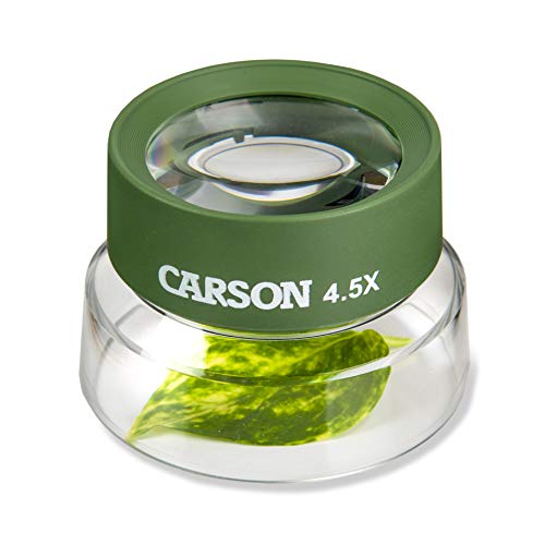 Carson Kids BugLoupe 4.5x Pre-Focused Stand Magnifier Loupe for Viewing Insects, Plants, Coins, Stamps, Maps, Fine Print and Wildlife (HU-55), Green, One Size