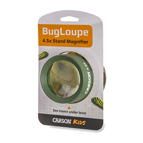 Carson Kids BugLoupe 4.5x Pre-Focused Stand Magnifier Loupe for Viewing Insects, Plants, Coins, Stamps, Maps, Fine Print and Wildlife (HU-55), Green, One Size