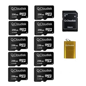 cloudisk small capacity 10 pack 256mb micro sd card in bulk pack (not gb) with sd adapter usb card reader memory card for small data, files, advertising or promotion (too small for any videos)