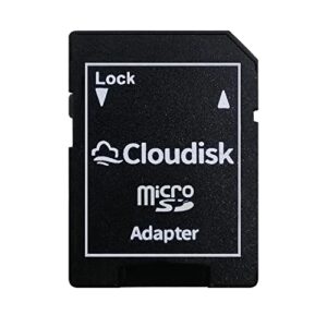 Cloudisk Small Capacity 10 Pack 256MB Micro SD Card in Bulk Pack (NOT GB) with SD Adapter USB Card Reader Memory Card for Small Data, Files, Advertising or Promotion (Too Small for Any Videos)