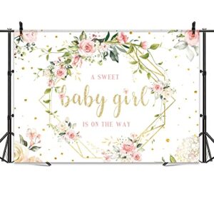 Omifly Baby Girl Backdrop for Baby Shower Floral Sweet 7x5ft Photography Wall Pink Rose Flower Green Eucalyptus Leaves Gold Dot Background Newborn Pregnancy Party Decorations Photo Booth Studio Props