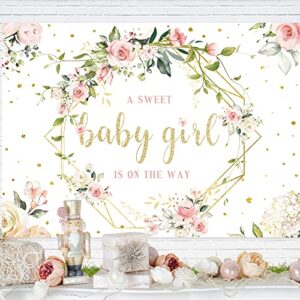 Omifly Baby Girl Backdrop for Baby Shower Floral Sweet 7x5ft Photography Wall Pink Rose Flower Green Eucalyptus Leaves Gold Dot Background Newborn Pregnancy Party Decorations Photo Booth Studio Props