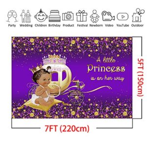 Mocsicka Princess Baby Shower Backdrop Little Princess Girl Baby Shower Party Decorations Backdrops Glitter Purple Baby Shower Carriage Photography Background