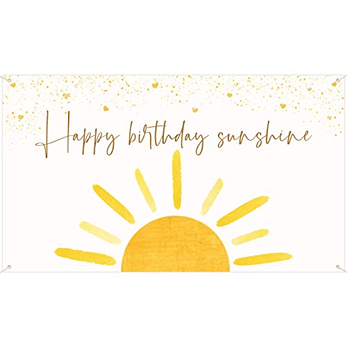 G1ngtar Boho Sun Happy Birthday Sunshine Backdrop Banner First Trip Around the Sun Wall Hanging Decor Muted Sun Theme Birthday Party Photography Background Decoration Supplies for Boys Girls