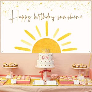 G1ngtar Boho Sun Happy Birthday Sunshine Backdrop Banner First Trip Around the Sun Wall Hanging Decor Muted Sun Theme Birthday Party Photography Background Decoration Supplies for Boys Girls