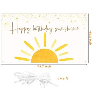 G1ngtar Boho Sun Happy Birthday Sunshine Backdrop Banner First Trip Around the Sun Wall Hanging Decor Muted Sun Theme Birthday Party Photography Background Decoration Supplies for Boys Girls