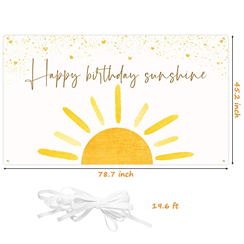 G1ngtar Boho Sun Happy Birthday Sunshine Backdrop Banner First Trip Around the Sun Wall Hanging Decor Muted Sun Theme Birthday Party Photography Background Decoration Supplies for Boys Girls