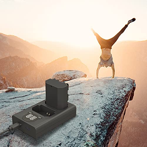 NP-FZ100 Camera Battery Charger, LP Dual USB Charger with LCD Display, Compatible with Sony A6600 A9 A9R A9S A9II A7C A7S A7SIII A7III A7RIII A7RIV A7IV Cameras, Charging Station for Sony NP-FZ100