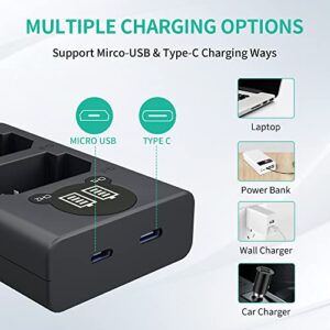 NP-FZ100 Camera Battery Charger, LP Dual USB Charger with LCD Display, Compatible with Sony A6600 A9 A9R A9S A9II A7C A7S A7SIII A7III A7RIII A7RIV A7IV Cameras, Charging Station for Sony NP-FZ100