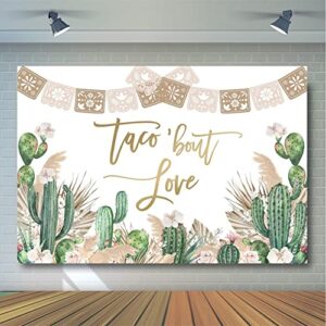 Avezano Taco Bout Love Bridal Shower Backdrop Boho Pampas Grass Bridal Shower Photography Background Fiesta Cactus Mexican Bridal Shower Bachelorette Wedding Party Decoration Photoshoot (7x5ft)