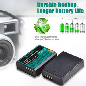 LP-E10 LPE10 Battery 2Pack 1600mAh, Hisewen Dual Charger with Type-C Port for Canon EOS Rebel T7 T6 T5 T3 T100 Kiss X90 X80 X70 X50 1100D 1200D 1300D 1500D 2000D 3000D 4000D Digital Camera