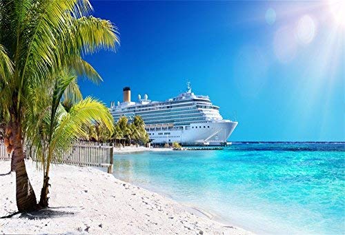 OFILA Cruise Ship Backdrop 7x5ft Caribbean Sea Photography Background Palm Coral Beach Backdrop Summer Cruise Party Coast Tropical Island Photo Ocean Cruise Tour Birthday Photo Backdrop Props