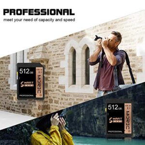 512GB SD Card Flash Memory Card Class 10 High Speed Security Digital Memory Card for Vloggers,Filmmakers, Photographers&Content Curator（512GB
