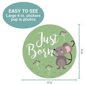 Baby Monthly Stickers | Woodland Creatures Baby Milestone Stickers | Newborn Boy or Girl Animal Stickers | Month Stickers for Baby Boy | Gender Neutral | Unisex Monthly Milestone Stickers (Set of 24)