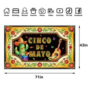 Cinco De Mayo Backdrop for Photography Mexican Banner Fiesta Party Favors Cinco De Mayo Decorations and Supplies for Home Party