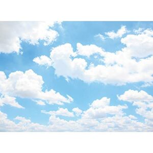 SVBright 7(W) x 5(H) ft Polyester Fabric Blue Sky White Clouds Backdrop Party Wall Decorations Sunshine 1ST Newborn Baby Shower Birthday Table Banner Photo Booth Photography Background Photo Studio