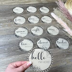 HOUSE OF PARTY 13 Pcs Acrylic Baby Milestone Discs - Baby Months Signs with Hello World Newborn | Attractive Baby Monthly Milestone Baby Girl or Baby Boy