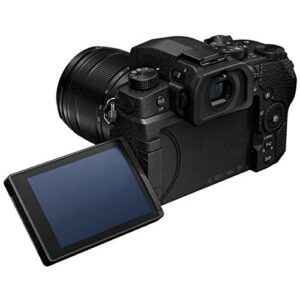 Panasonic LUMIX G95 20.3 Megapixel Mirrorless Digital Camera, 12-60mm F3.5-5.6 Lens, Pre-Installed V-Log L, Bundle with Bag, CLAR LED Light, Marantz Mic, 64GB SD Card, Cleaning Kit, Card Reader