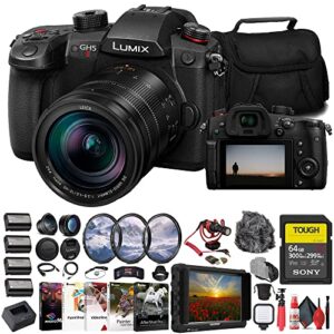 panasonic lumix gh5 ii mirrorless camera with 12-60mm lens (dc-gh5m2lk) + 4k monitor + sony 64gb tough sd card + filter kit + wide angle lens + telephoto lens + lens hood + charger + more (renewed)