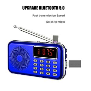 YMDJL Portable AM FM Radio with Bluetooth Speaker and SD Card Player,MP3 Player with Headphones Socket,Auto Scan Save,Rechargeable Battery Transistor Radio (Blue)