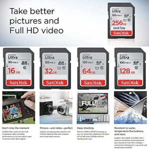 Ultimaxx Essential Accessory Bundle with Blackmagic Design Pocket Cinema Camera 6K G2 - Includes: SanDisk 64 Ultra Memory Card + 2X Seller Replacement Batteries + Cleaning Essentials + More