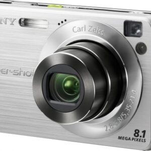 Sony Cyber-shot DSC-W130 8.1MP Digital Camera with 4x Optical Zoom with Super Steady Shot (Silver)