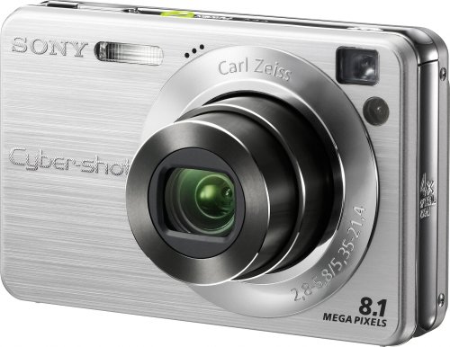 Sony Cyber-shot DSC-W130 8.1MP Digital Camera with 4x Optical Zoom with Super Steady Shot (Silver)