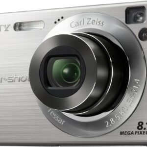 Sony Cyber-shot DSC-W130 8.1MP Digital Camera with 4x Optical Zoom with Super Steady Shot (Silver)