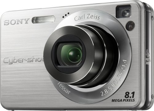 Sony Cyber-shot DSC-W130 8.1MP Digital Camera with 4x Optical Zoom with Super Steady Shot (Silver)