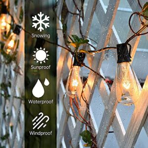 Pallerina Outdoor Edison String Lights 20Ft with 22 Edison Bulbs, Vintage Bistro Lights ST40 Patio String Lights for Garden Backyard Party Wedding Umbrella, E17 Base 7 Watt Bulbs- Brown Wire