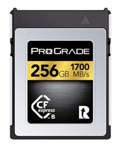prograde digital memory card – cfexpress type b for cameras | optimized for express transfer of files & large storage | 256 gb gold series