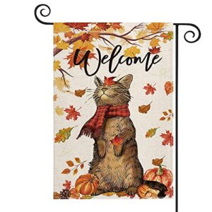 avoin colorlife fall cat welcome garden flag double sided, maple leaves pumpkin autumn thanksgiving holiday yard outdoor decoration 12×18 inch